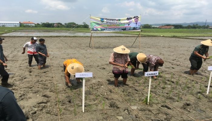 Tanam bersama bupati kebumen 01