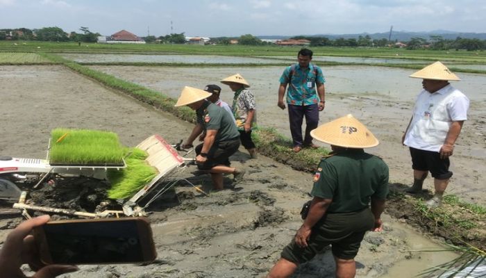 Tanam bersama bupati kebumen 02