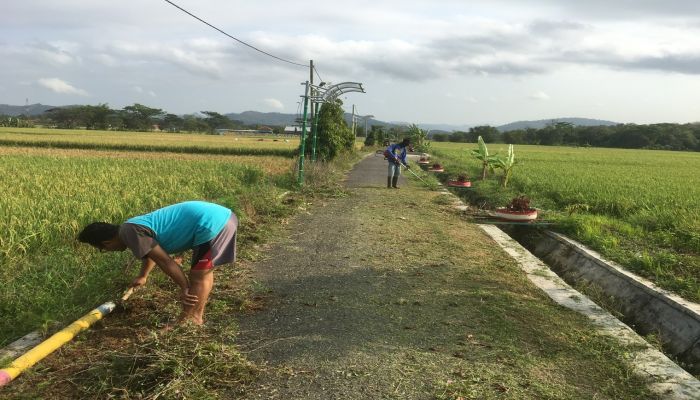 kerja bakti jalan menuju TPS 01