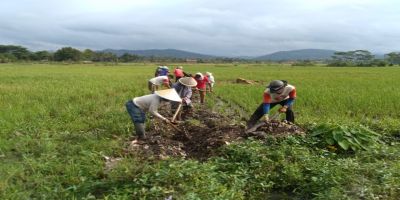 Kegiatan Normaslisasi Saluran Irigasi 